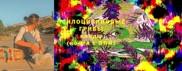 PSILOCYBIN Новодвинск