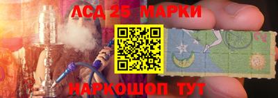 гидропоника Гатчина