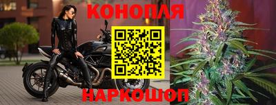 гидропоника Гатчина