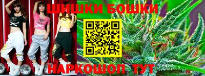 гидропоника Гатчина
